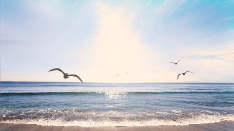 ခရစ်ယာန် ဝိညာဉ်ရေးရာ နိုးကြားမှုတစ်ခု