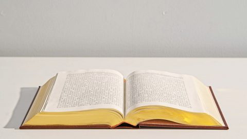 လူ့ဇာတိခံ ဘုရားသခင်နှင့် ဘုရားသခင် အသုံးပြုသော လူတို့ကြား ပဓာနကျသော ကွာခြားချက်မှာ အဘယ်နည်း။